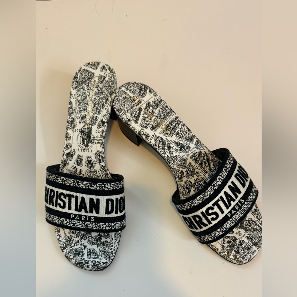 Dior Dway Slide Sandals